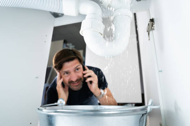 Best Plumbing Repair Near Me  in Pinellas Park, FL