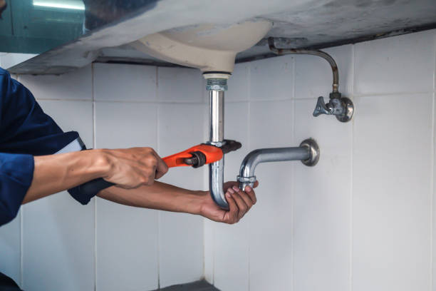 Best Plumbing Inspection Services  in Pinellas Park, FL