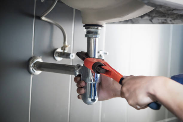 Best Clogged Drain Plumber  in Pinellas Park, FL