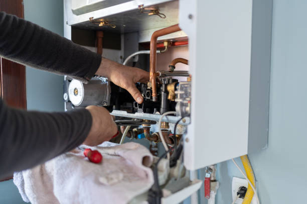 Best Local Plumber Services  in Pinellas Park, FL