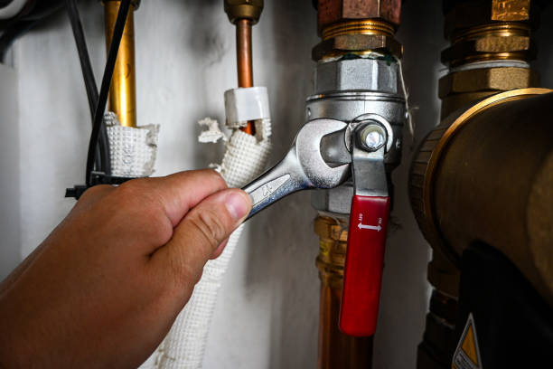 Best Water Softener Installation  in Pinellas Park, FL